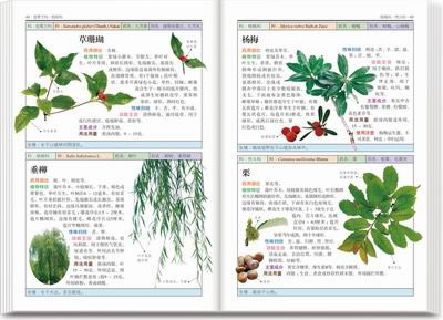 南方药用植物(新版):近600种中国南方药用植物的彩色图鉴--自然珍藏