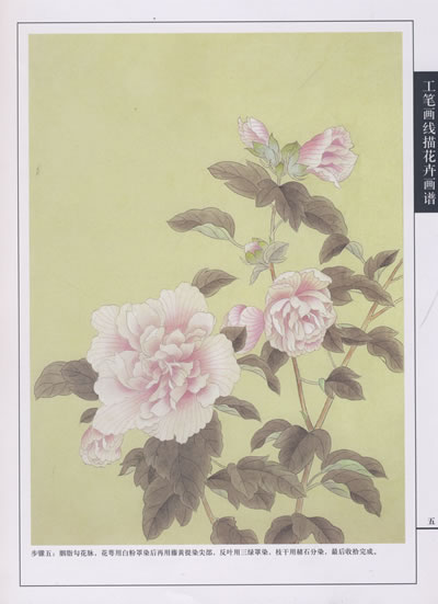 艺术 绘画 国画 工笔画 工笔画线描花卉画谱·木槿篇 当 当 价:10.