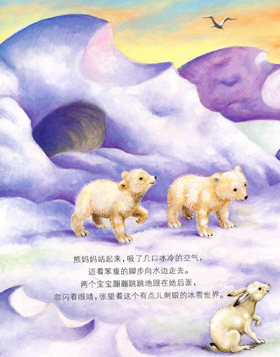 插图