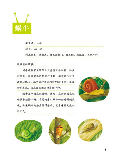 花园里的秘密-蜗牛(比《法布尔昆虫记》更精彩的原创少儿故事科普美