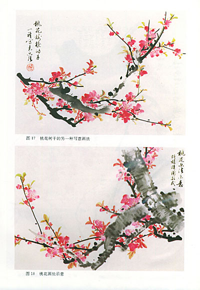 老年学书画·写意花鸟画技法:第一册 木本花卉