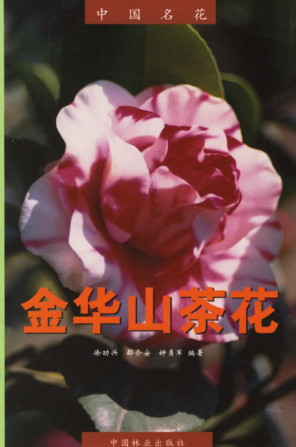 微博