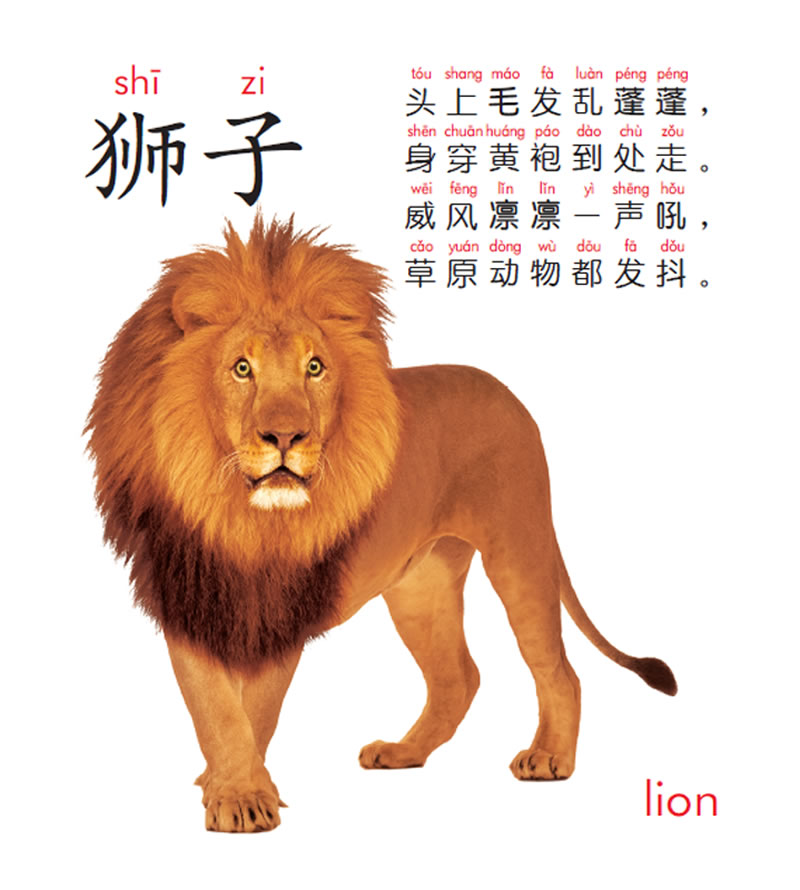 宝宝启蒙翻翻乐:动物