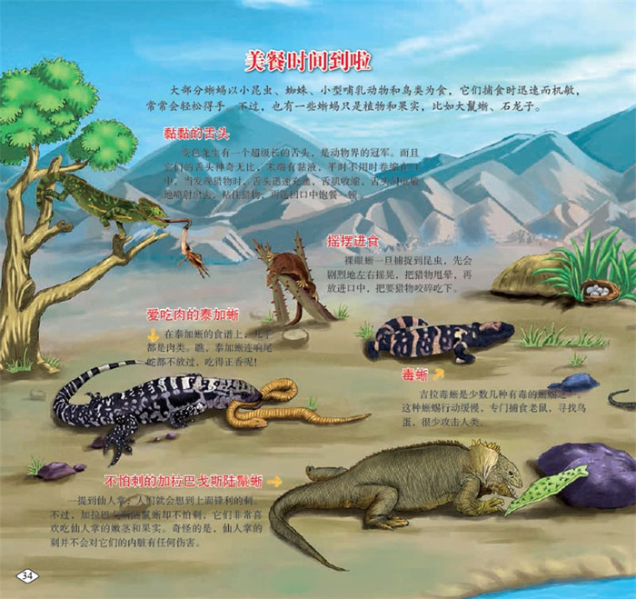 爬行动物的一生