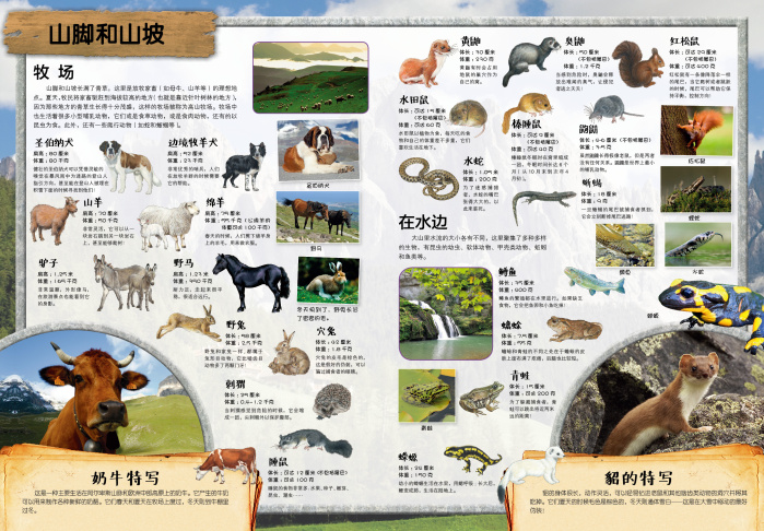 动物科普知识大全