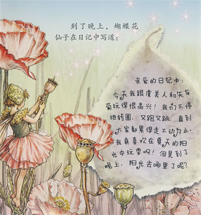 绘本故事花仙子的故事野樱桃仙子的秘密适合57岁34岁可爱公主勇气奇幻
